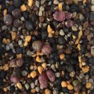 20Pcs a set C.minusculum ARM388A Seed ProQgf