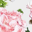100Pcs A Set Salmon Pelargonium seed Ngryise
