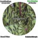 DwarfGiantFarm 100Pcs A Set Ctenanthe oppenheimiana Seed