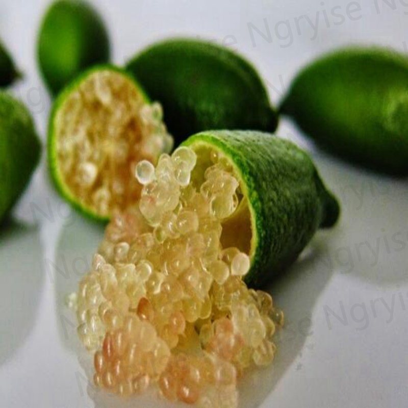 500Pcs A Set Finger Lime thumb lemon seed ProQgf