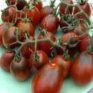 500Pcs A Set Black Moor tomato seed ProQgf