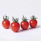 500Pcs A Set Braveheart Hybrid Cherry Tomato seed ProQgf