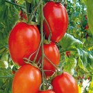 500Pcs A Set Corleone Hybrid Tomato seed ProQgf