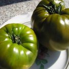500Pcs A Set Emerald green tomato seed ProQgf