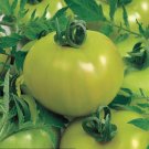 500Pcs A Set Fried Green Tomato Hybrid Tomato seed ProQgf