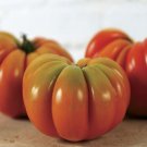 500Pcs A Set Genuwine Hybrid Tomato seed ProQgf