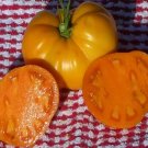 500Pcs A Set Golden Jubilee tomato seed ProQgf