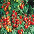 500Pcs A Set Juliet Tomato seed ProQgf