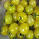 500Pcs A Set Lemon Drop tomato seed ProQgf