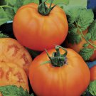 500Pcs A Set Orange Hybrid Tomato seed ProQgf