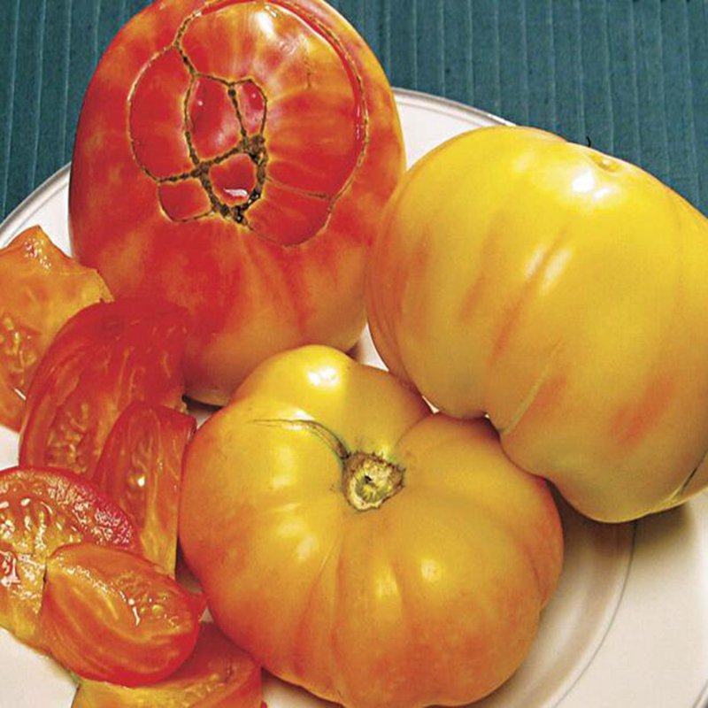 500Pcs A Set Pineapple Tomato seed ProQgf
