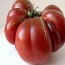 500Pcs A Set Purple Calabash Tomatoseed ProQgf