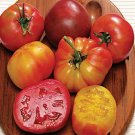 500Pcs A Set Rainbow Blend Heirloom Tomato seed ProQgf