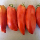 500Pcs A Set italian Heirloom tomato seed ProQgf