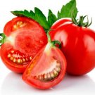500Pcs A Set Virgin and Unrefined tomato seed ProQgf