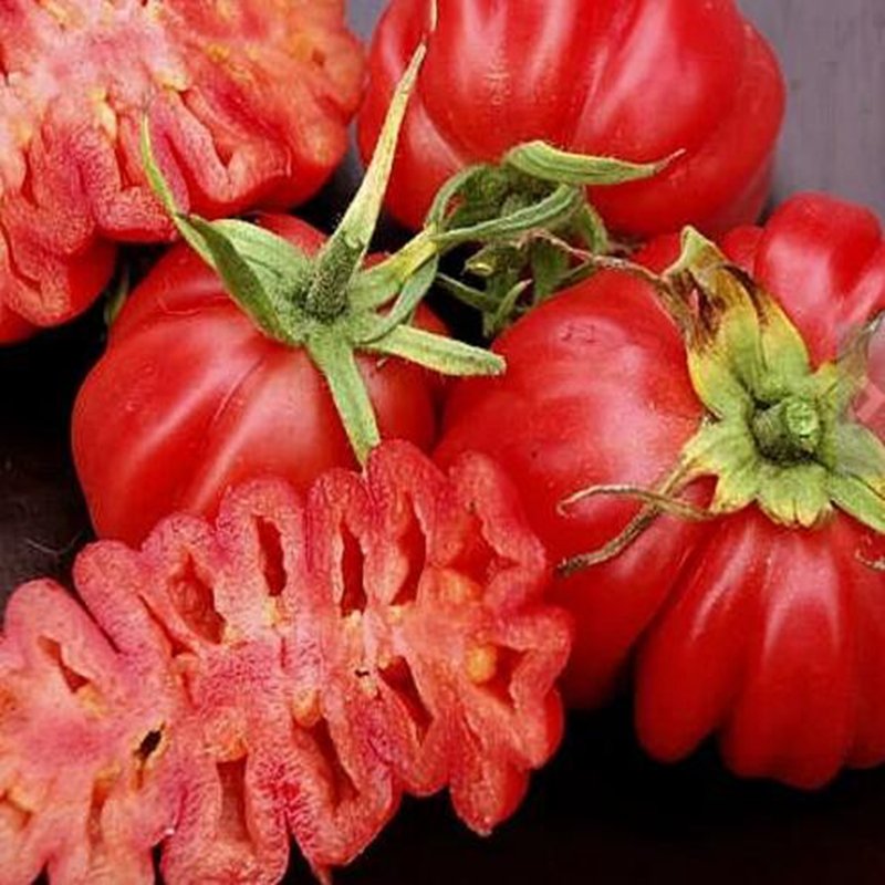 500Pcs A Set Zapotec ruffled tomato seed ProQgf.