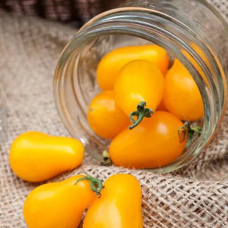 500Pcs A Set Yellow Pear shape tomato seed ProQgf