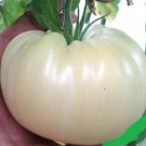 500Pcs A Set White Ukraine tomatoseed ProQgf