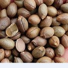 200Pcs A Set  Styrax obassia  Tree seed ProQgf
