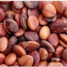 200Pcs A Set Cassia fistula Tree seed ProQgf