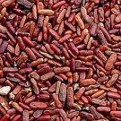 5000Pcs A Set Coronilla varia seed ProQgf