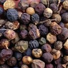 500Pcs A Set Ligustrum lucidum seed ProQgf