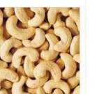 5Pcs A Set Yellow Cashew seed ProQgf