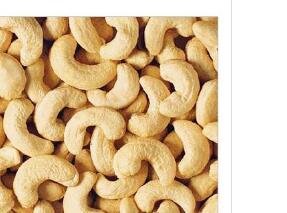 5Pcs A Set Yellow Cashew seed ProQgf