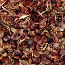 3000Pcs A Set Coreopsis drummondii seed ProQgf