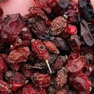 300Pcs A Set Berberis thunbergii var. atropurpurea seed ProQgf