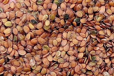 6000Pcs A Set Iberis amara seed ProQgf