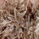 5000Pcs A Set Miscanthus seed ProQgf
