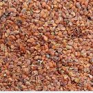 3000Pcs A Set Lobularia maritima Seed ProQgf