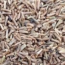 8000Pcs A Set Verbena hybrida Voss seed ProQgf