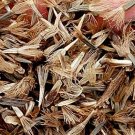 2000Pcs A Set Liatris spicata seed ProQgf