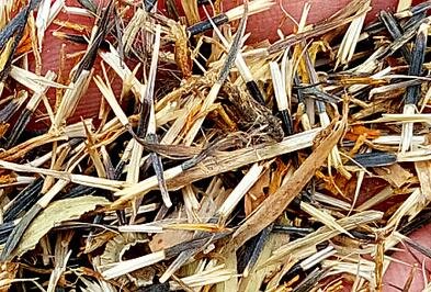3000Pcs A Set Tagetes erecta seed ProQgf