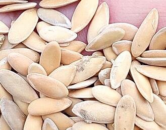 200Pcs A Set Cucumis melo var saccharinus seed ProQgf