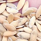 200Pcs A Set Cucumis melo var saccharinus seed ProQgf