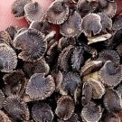 500Pcs A Set Althaea rosea seed ProQgf