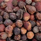 50Pcs A Set Aphananthe aspera seed ProQgf