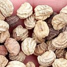50Pcs A Set Tropaeolum majus seed ProQgf