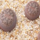 1Pcs A Set C396 lithop Mini Plant ProQgf