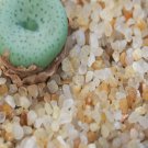 1Pcs A Set  Jucundum fragile se Klipbok  Mini Plant ProQgf
