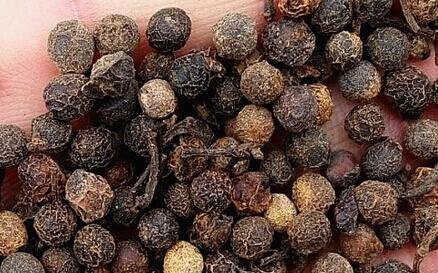 500Pcs A Set Litsea cubeba Seed ProQgf