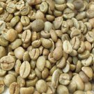 300Pcs A Set  Coffea Catura Arabica Seed ProQgf
