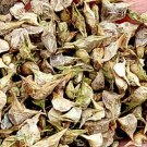 3000Pcs A Set  Spinacia oleracea Seed ProQgf