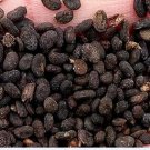 2000Pcs A Set  Psoralea corylifolia Seed ProQgf