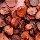 300Pcs A Set Acorus calamus Seed ProQgf