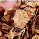 300Pcs A Set Taxodium ascendens Seed ProQgf