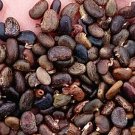 300Pcs A Set Robinia pseudoacacia Seed ProQgf